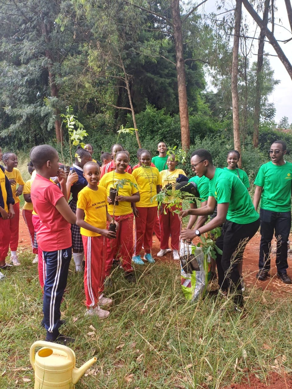 The Green Milele founding team planting trees